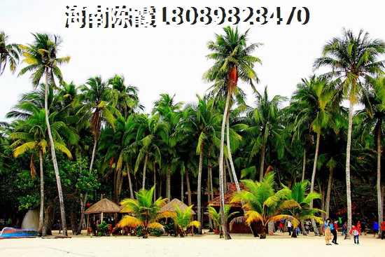 海南房价 五指山房价