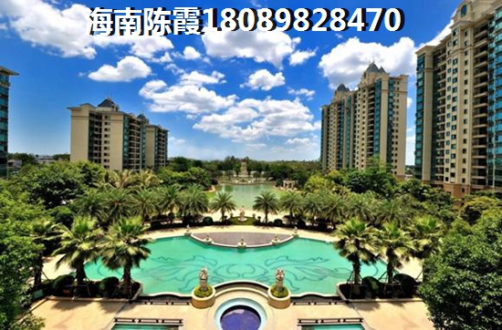 五指山XG政策