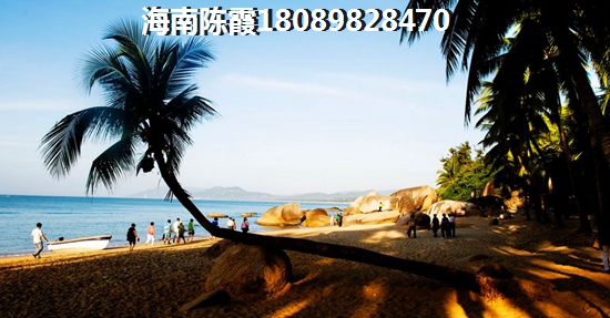 五指山翡翠新区房地产