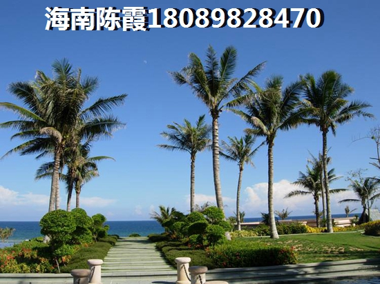 醉难弄的菜
