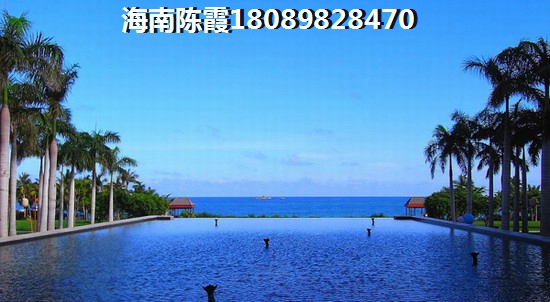 泰迪吃炒牛肉可以吗