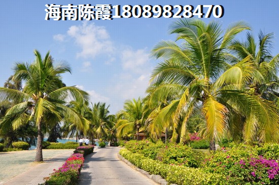 济徐高速春节有什么景点吗