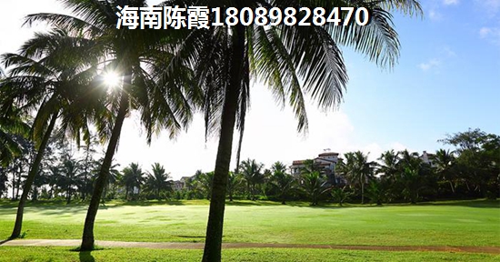 五指山森林湖二期房价
