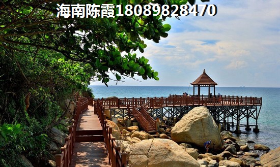 明治神宫纸得去吗