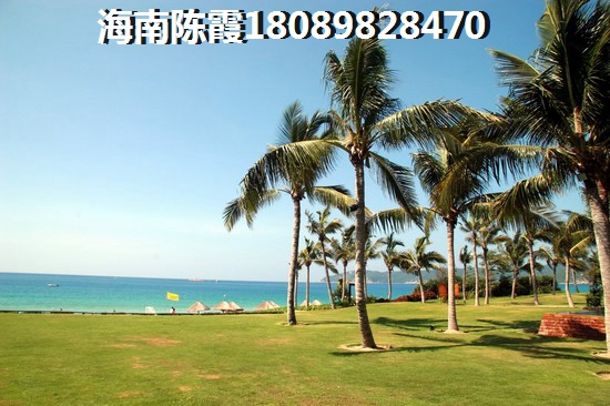 炒田螺加香草可以吃吗