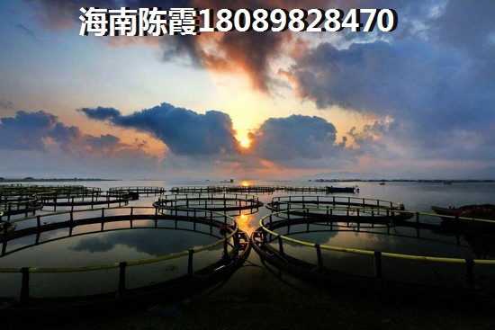 万科翡翠滨江楼盘（万科翡翠滨江房价是否会跌）