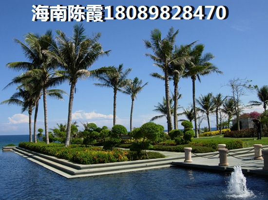 大蓝猫小游戏主播叫什么名字