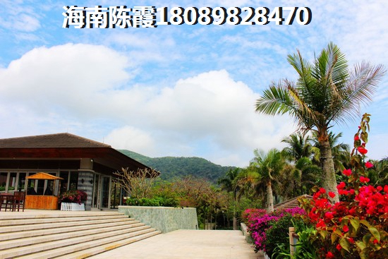 《放手,但绝不放弃》——探索情感的复杂旋律 《放手,但绝不放弃》——探索情感的复杂旋律